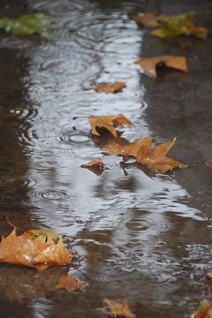 Fall
